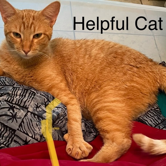 Wrangler Icons Jeans Slim Straight Faded Blue NWT Various Sizes - Picture 10 of 10